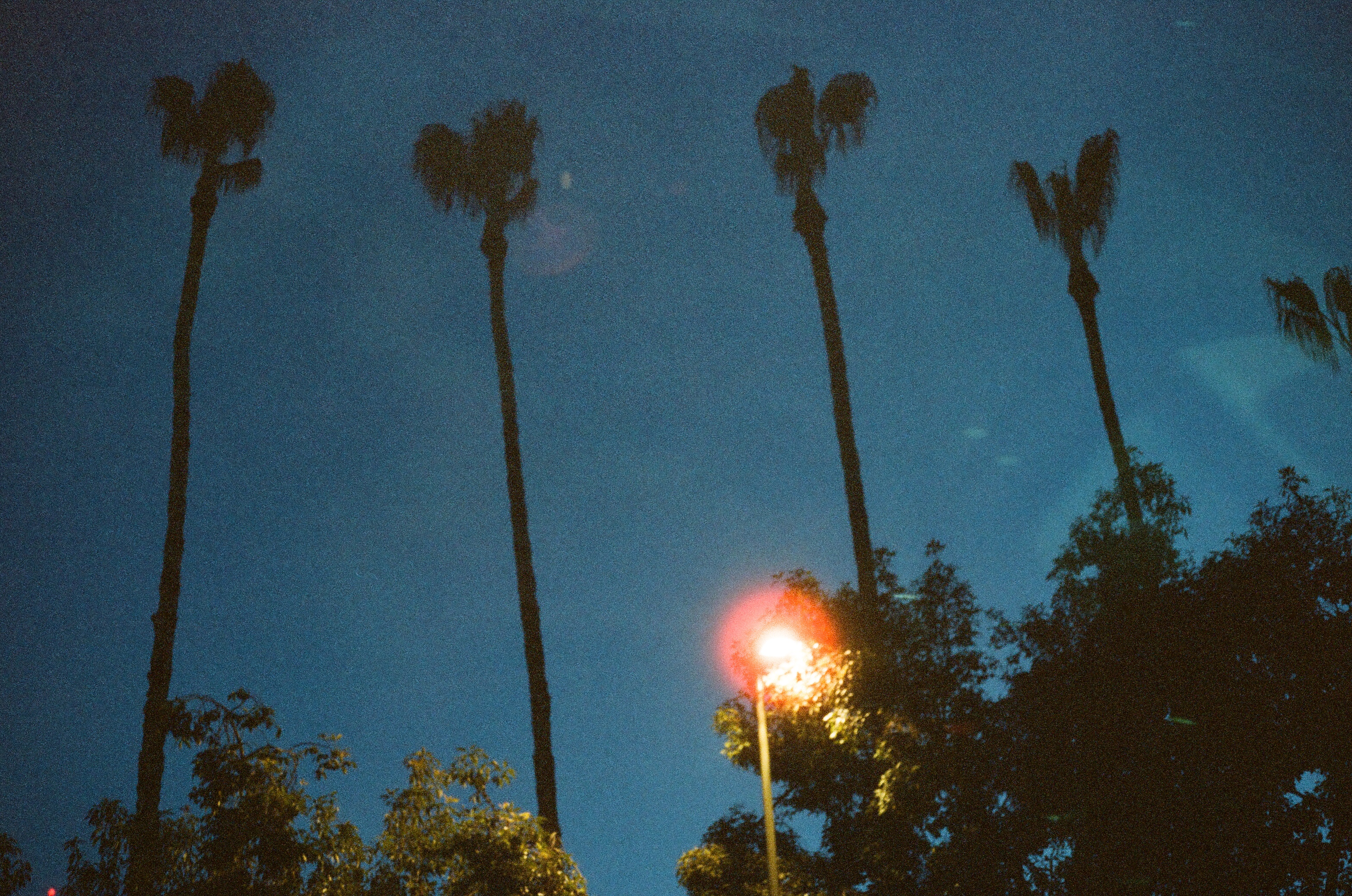 Edit timeline and color session